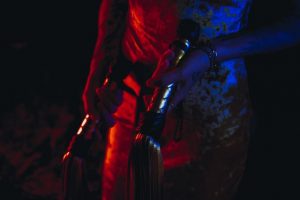best floggers for BDSM